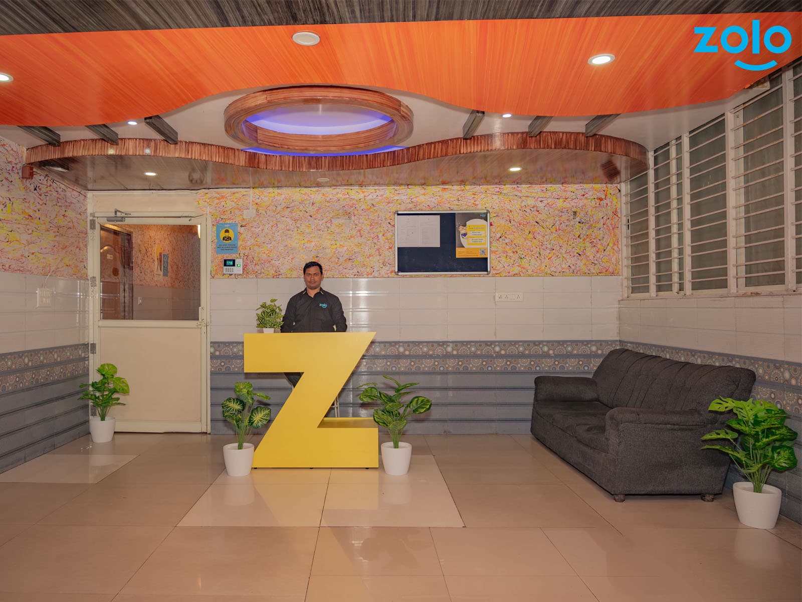 Zolo Hibiscus by Z Express