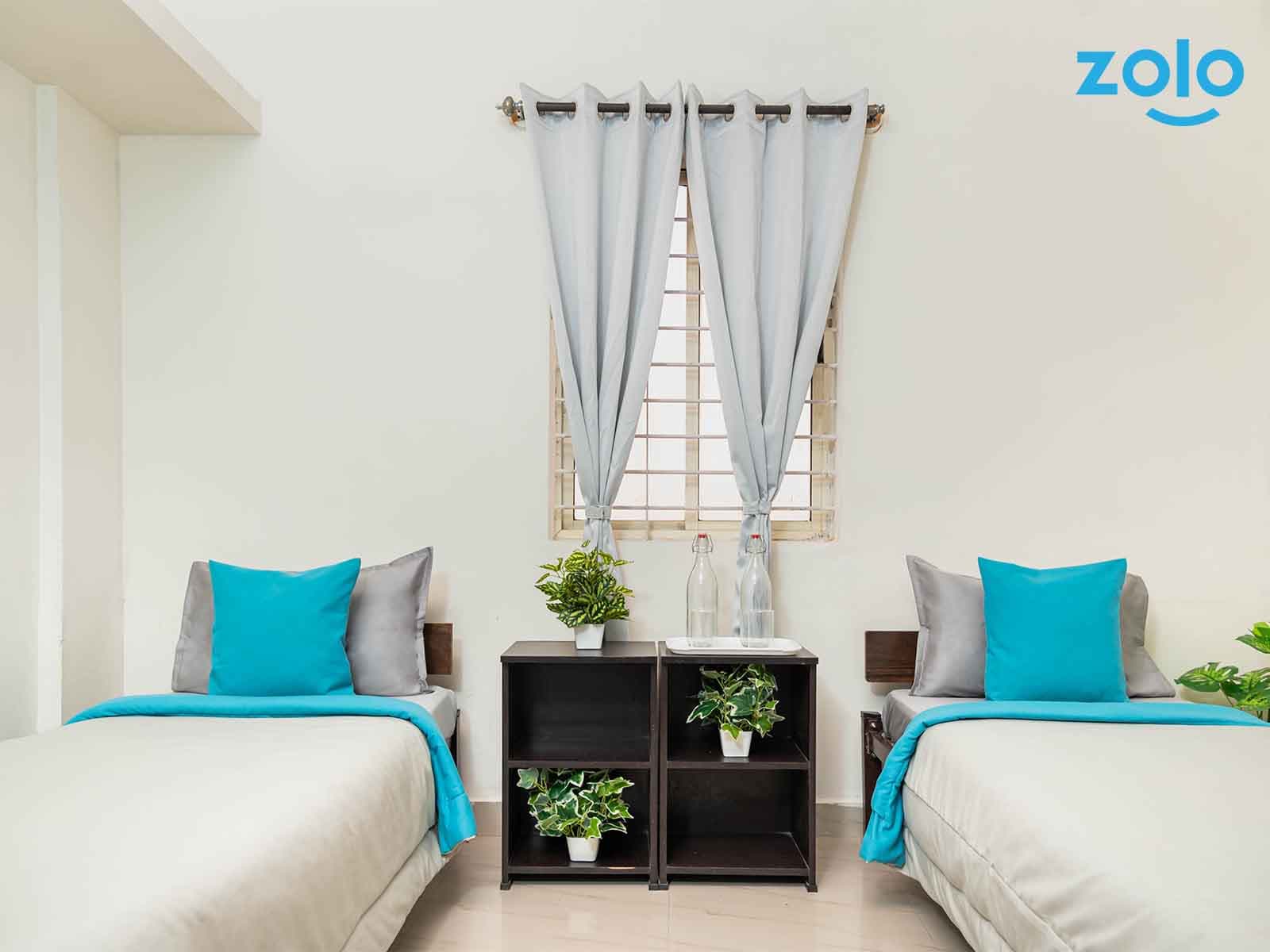 Zolo Atlas by Z Express