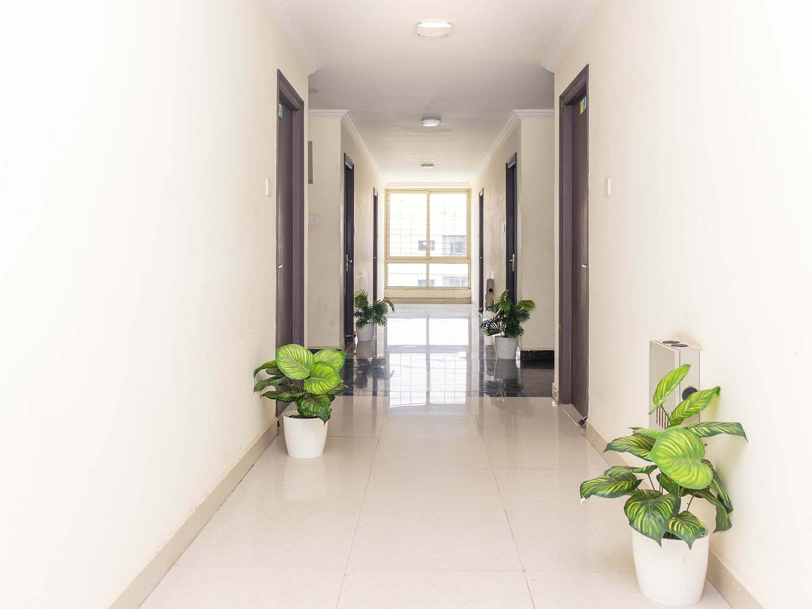 Zolo Silverstone PG in Miyapur