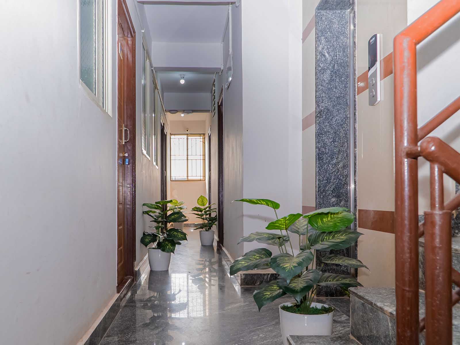 Zolo Laurel A by Z Express