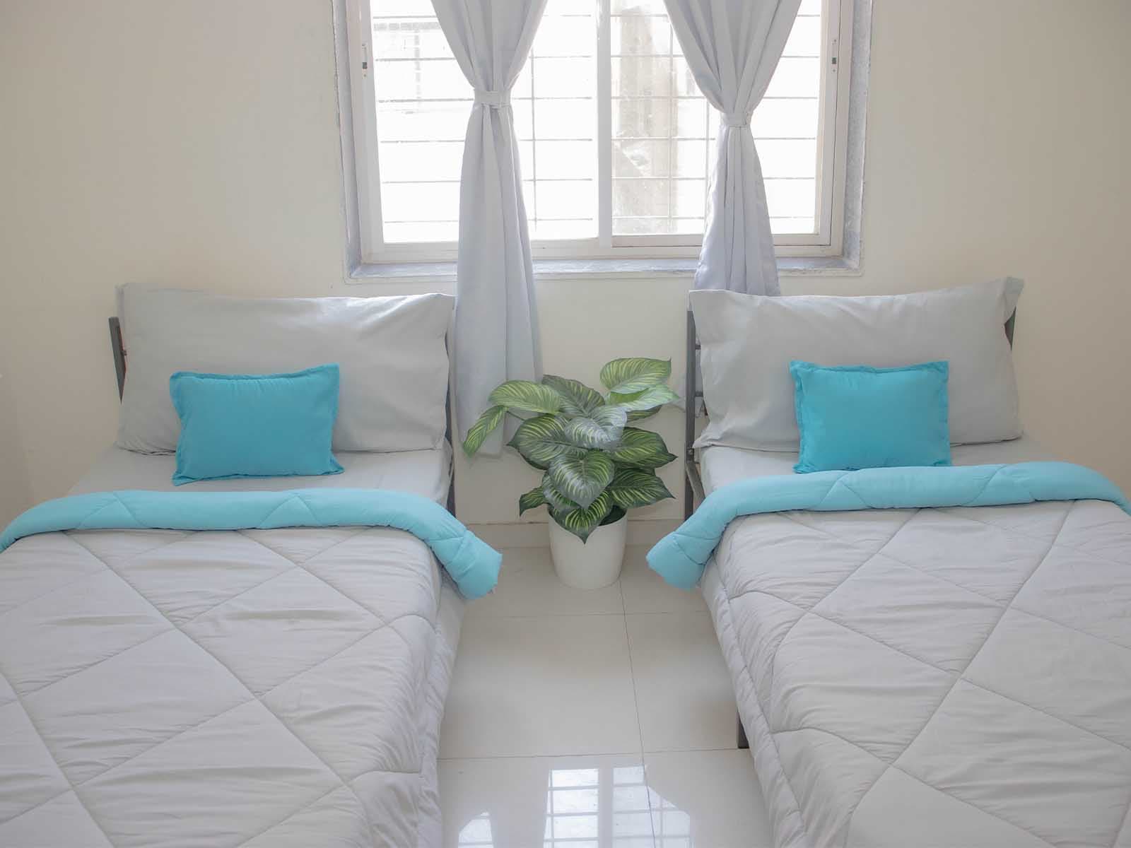 Zolo Greentree by Z Express